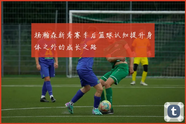杨瀚森新秀赛季后篮球认知提升身体之外的成长之路